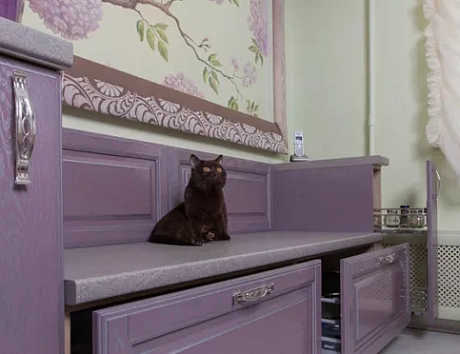 Фиолетовая кухня в Санкт-Петербурге